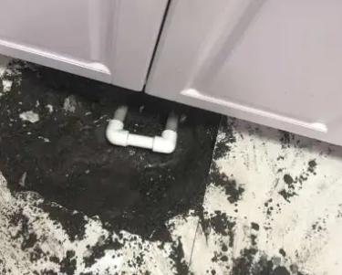 普定查漏水哪家好