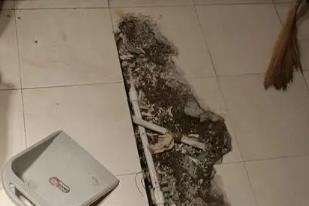 普定卫生间漏水检测电话
